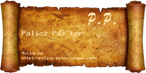 Palicz Péter névjegykártya