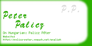 peter palicz business card